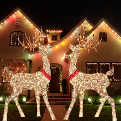 Lighted Christmas Reindeer Decoration
