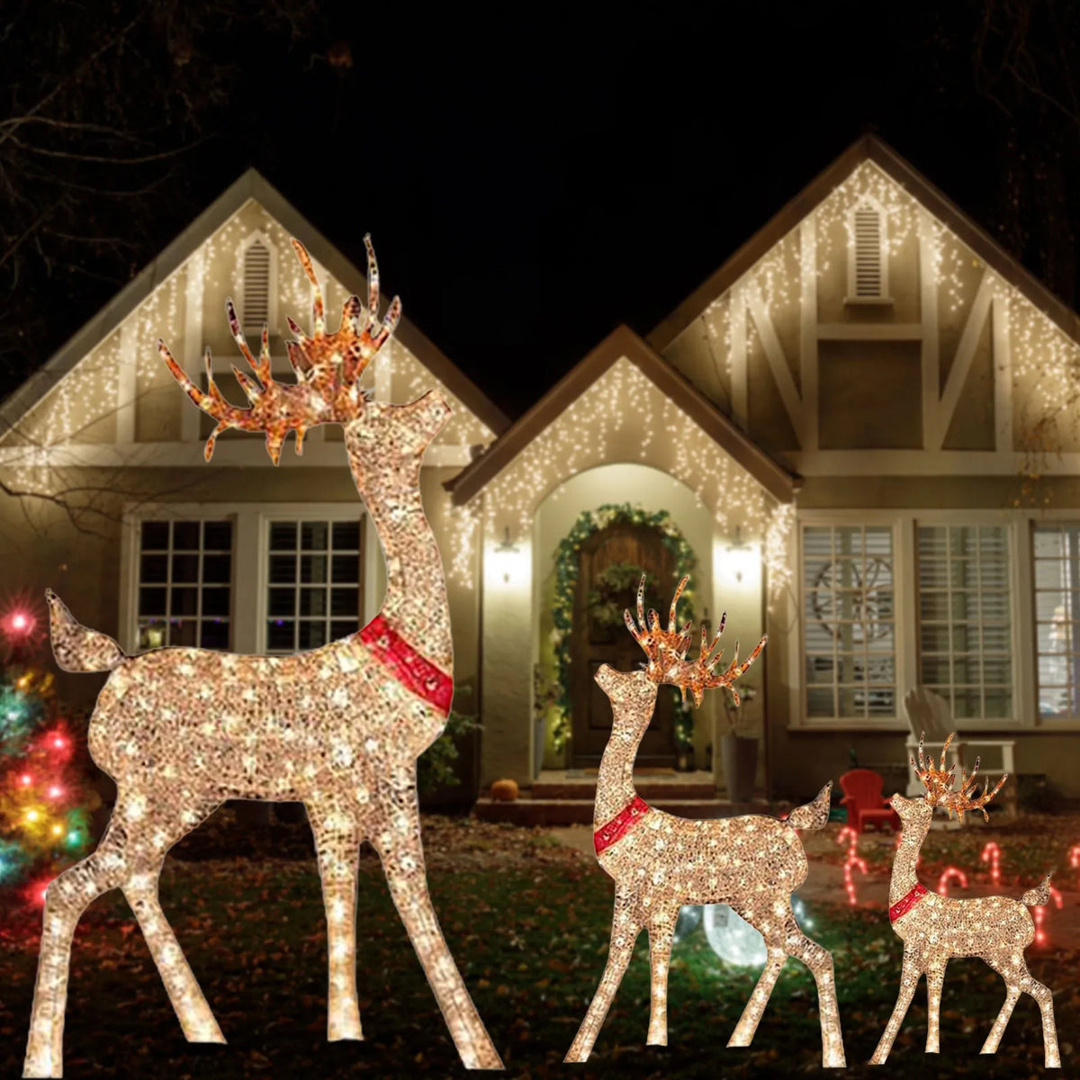 Lighted Christmas Reindeer Decoration