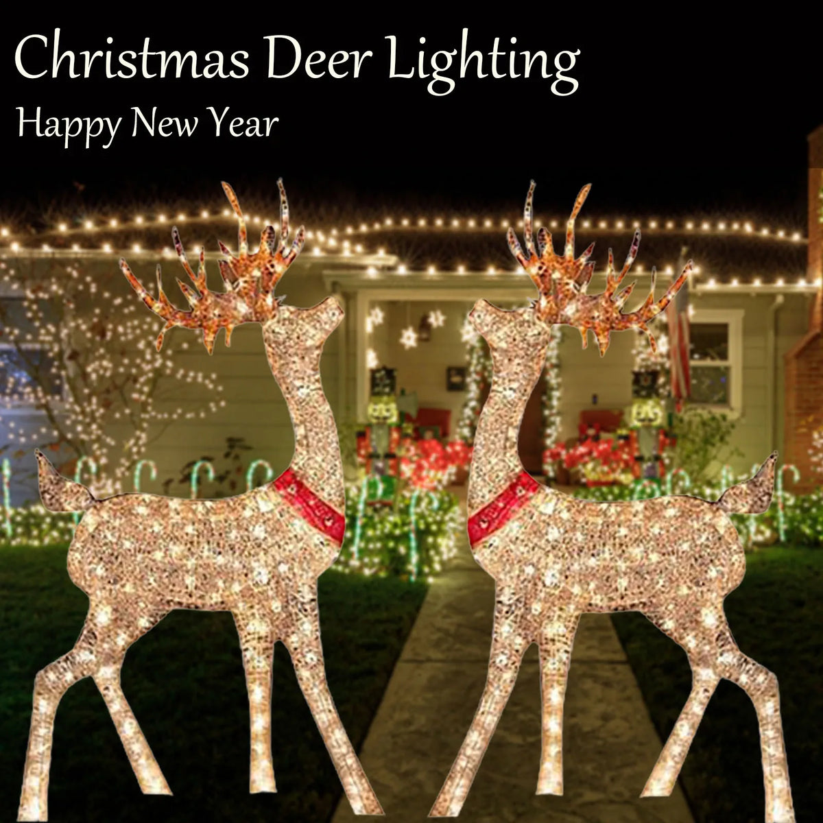 Lighted Christmas Reindeer Decoration